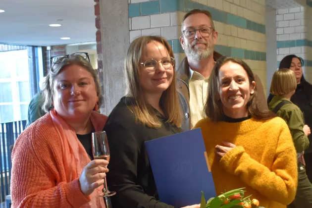 Gabriella Scaramuzzino, Ellen Parsland,  Rickard Ulmestig och Paula Mulinari.