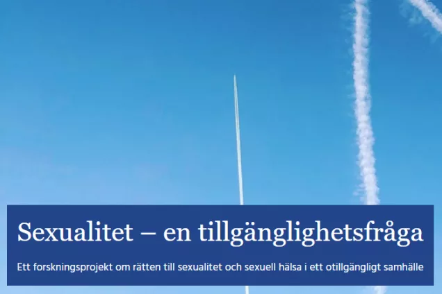 Skärmdump. Bloggen Sexualitet - en tillgänglighetsfråga